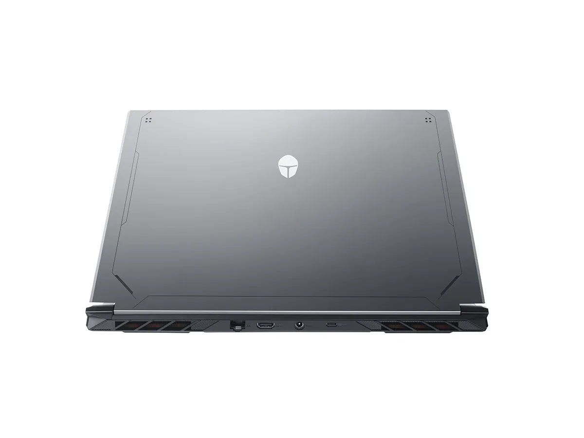 Notebook Gamer ThundeRobot R15 - Intel i7-13650HX, RTX 4060